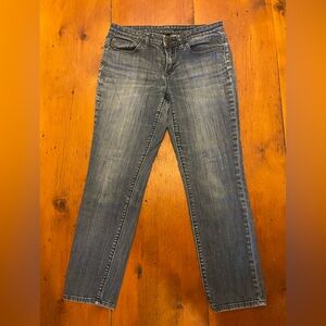 Gap 1969 Premium Skinny Size 6/28s